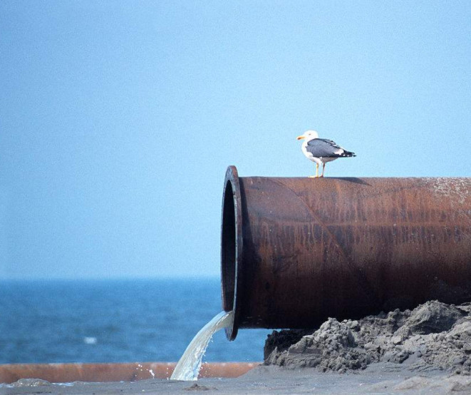 用聚合氯化鋁處理凈化海產品加工廢水能到達排放標準么? 用聚合氯化鋁處理凈化海產品加工廢水能到達排放標準么?