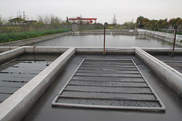 ۺȻX̎B(yng)ֳUˮķNҎ(gu)